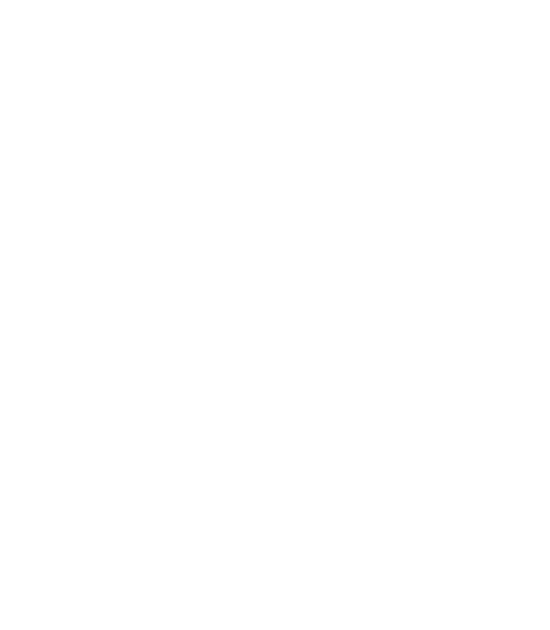 Logo Chalets am Berg weiss